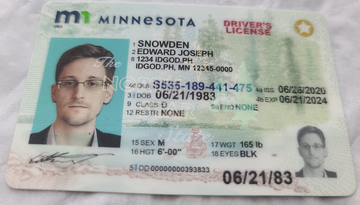 fake id for Minnesota