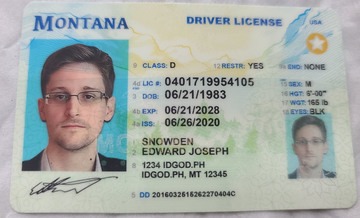 fake id for Montana